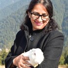 Avatar for Ravinder Kaur