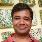 Avatar for Rohit Gupta
