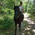 Avatar for Bence Radák