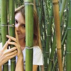 Avatar for Nataliia Vozniak