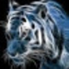Avatar for faisal habib