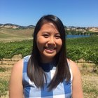 Avatar for Stacy Au-yang