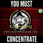 Avatar for KUNG FU VAPES INC.