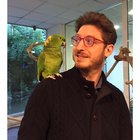Avatar for Gabriele Rigo