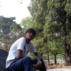 Avatar for Ankit Singh