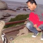 Avatar for Sujeesh Krishnan
