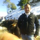 Avatar for Amit Vikram