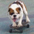 Avatar for Tom Wendt