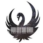 Avatar for Black Swan Theory Group