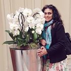 Avatar for Jayashree Hegde