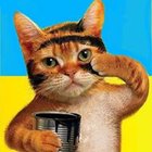 Avatar for Andrey Parkhomenko