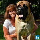 Avatar for Julie Heckman