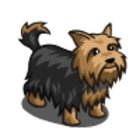 Avatar for Paul Franzen