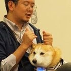 Avatar for Joji Yamaguchi