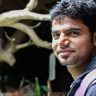 Avatar for Paroksh Saxena