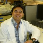 Avatar for Gaurav Khatri 