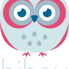 Avatar for Hibou Corp.