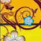 Avatar for Komal Bhimani