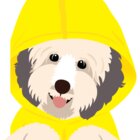Avatar for Matthew David