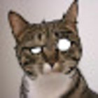 Avatar for Nicolette Groome