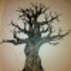 Avatar for Hannah Obringer