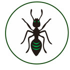 Avatar for John Gallagher