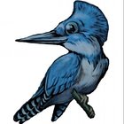 Avatar for Justin Miller