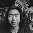 Avatar for David Kim