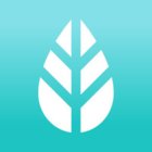 Avatar for More App