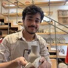 Avatar for Dhruv Bhardwaj