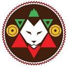 Avatar for Alvin Lee