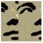 Avatar for Vincent Chu