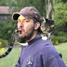 Avatar for Josh Sacks