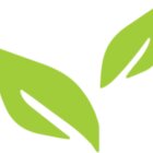 Avatar for Shana Greenbaum