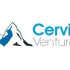 Avatar for Cervin Ventures