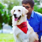 Avatar for Rajeev Kumar