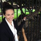 Avatar for Stephanie DeFranzo