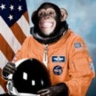 Avatar for Alec Brownstein