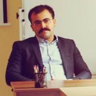Avatar for Teymur Ferzi