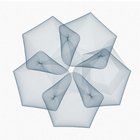 Avatar for Carlos De la Guardia